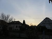 Třibřichy