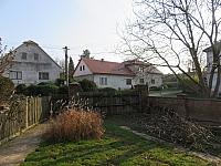 Třibřichy