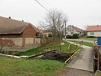 Třibřichy