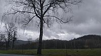 Chřibská