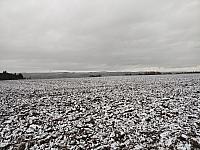 Vochov 