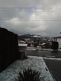 Nižná