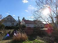 Třibřichy