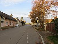 Třibřichy