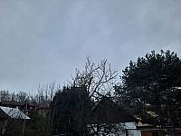 Olešná