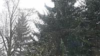 Němčice Zhoř