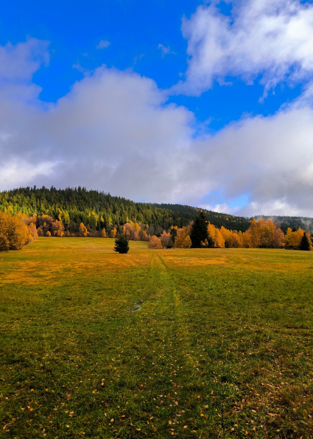 Kašperské Hory