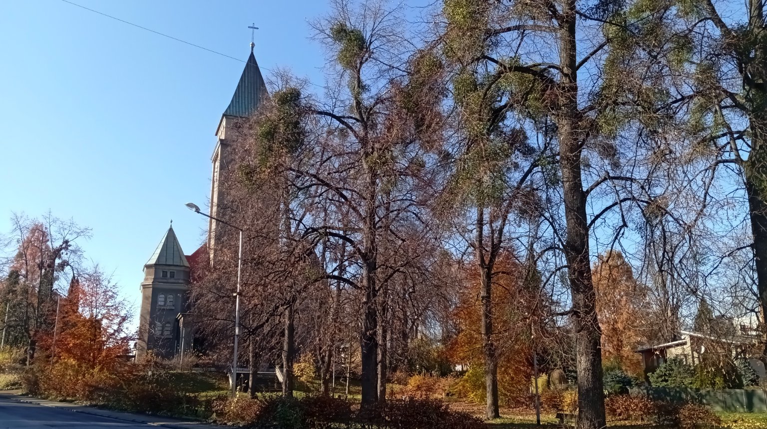 Český Těšín