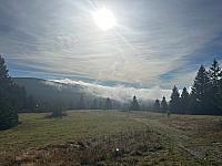 Šerlich