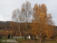 Holčovice