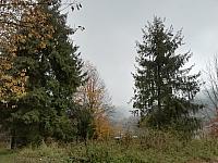 Čadca