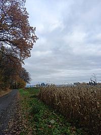 Svatý Mikuláš