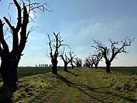 Hrnčiarovce nad Parnou