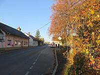 Třibřichy