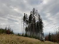 Čadca