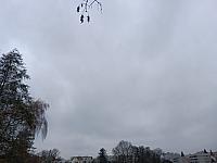Olomouc-Lazce