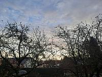 Olešná