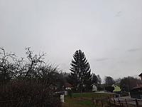 Olešná