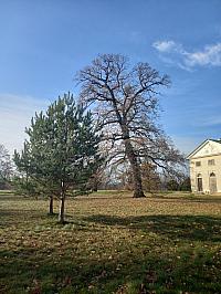 Svatý Mikuláš