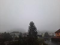 Olešná