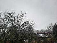 Olešná