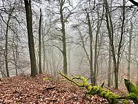 Dobříš - Hradec