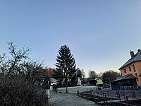 Olešná