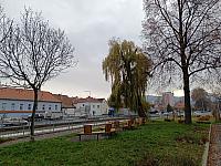 Bílina