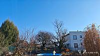 Hořice - Libonice
