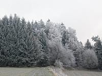 Němčice Zhoř
