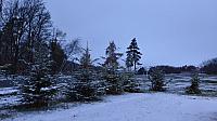 Lukovany