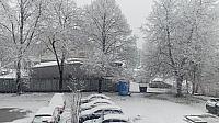 Český Těšín