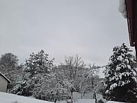 Olešná