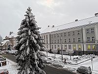Český Těšín
