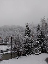 Hvozdnica