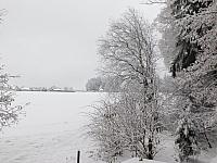 Němčice Zhoř
