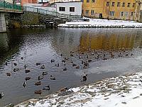 Třebíč