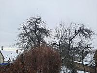 Mezná 