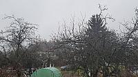 Olešná