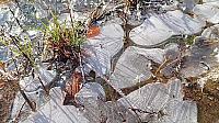 Třebíč-Borovina