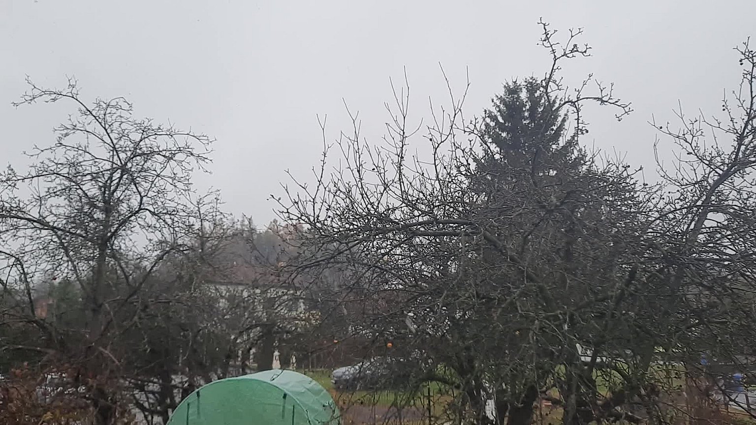 Olešná