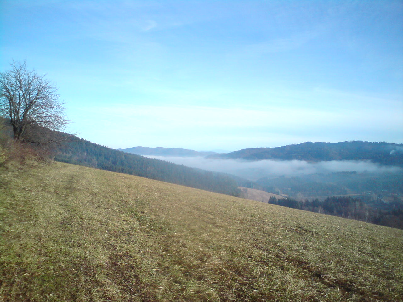 Střelná