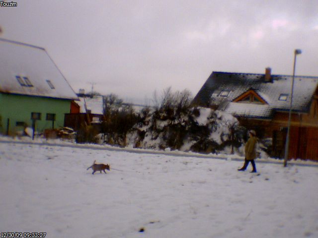Toužim