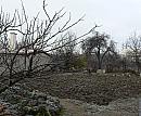 Nitra
