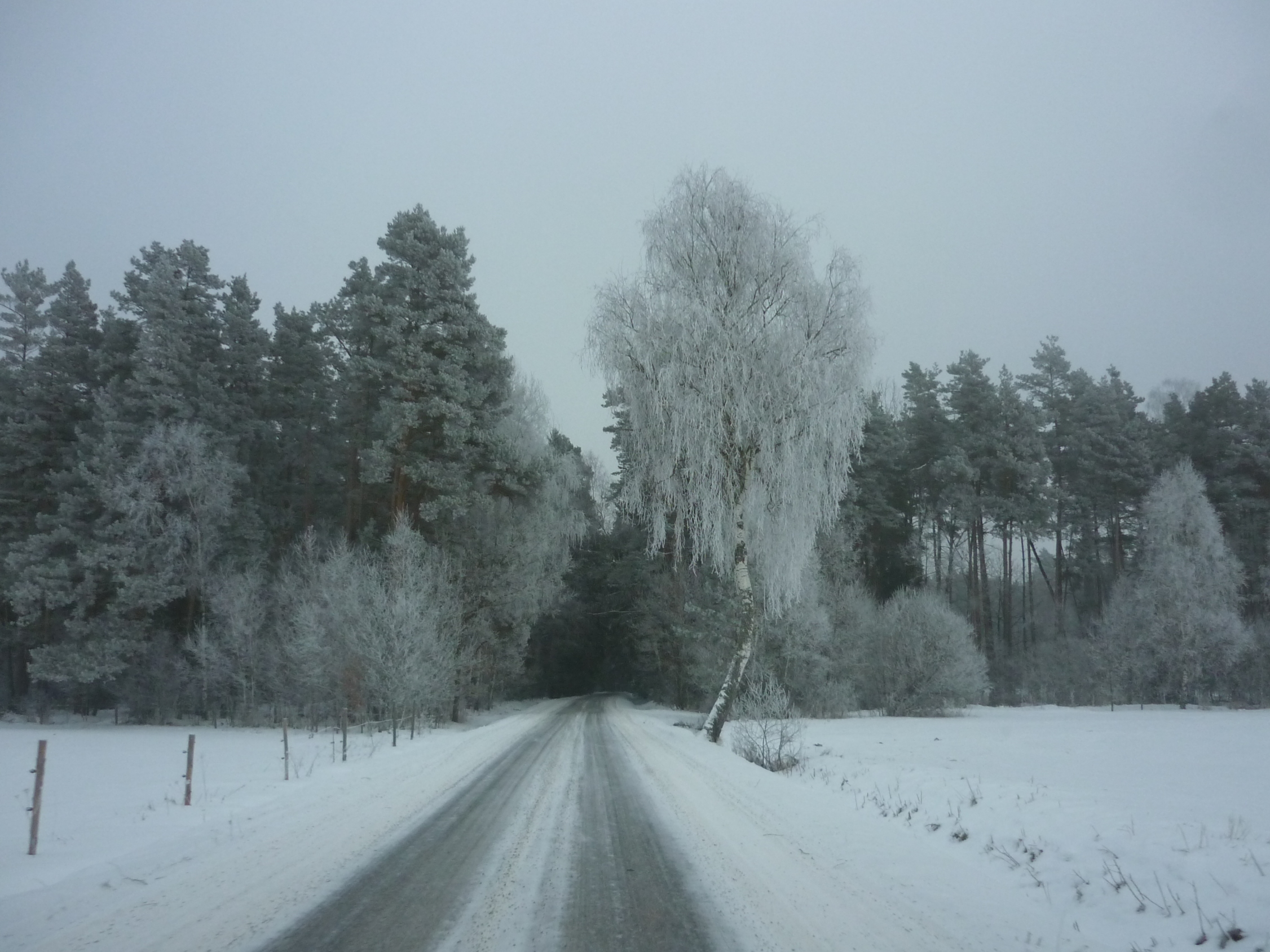 Borkovice