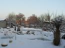 Nitra