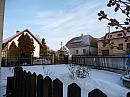 Třibřichy