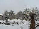 Nitra