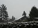 Stráž nad Nisou