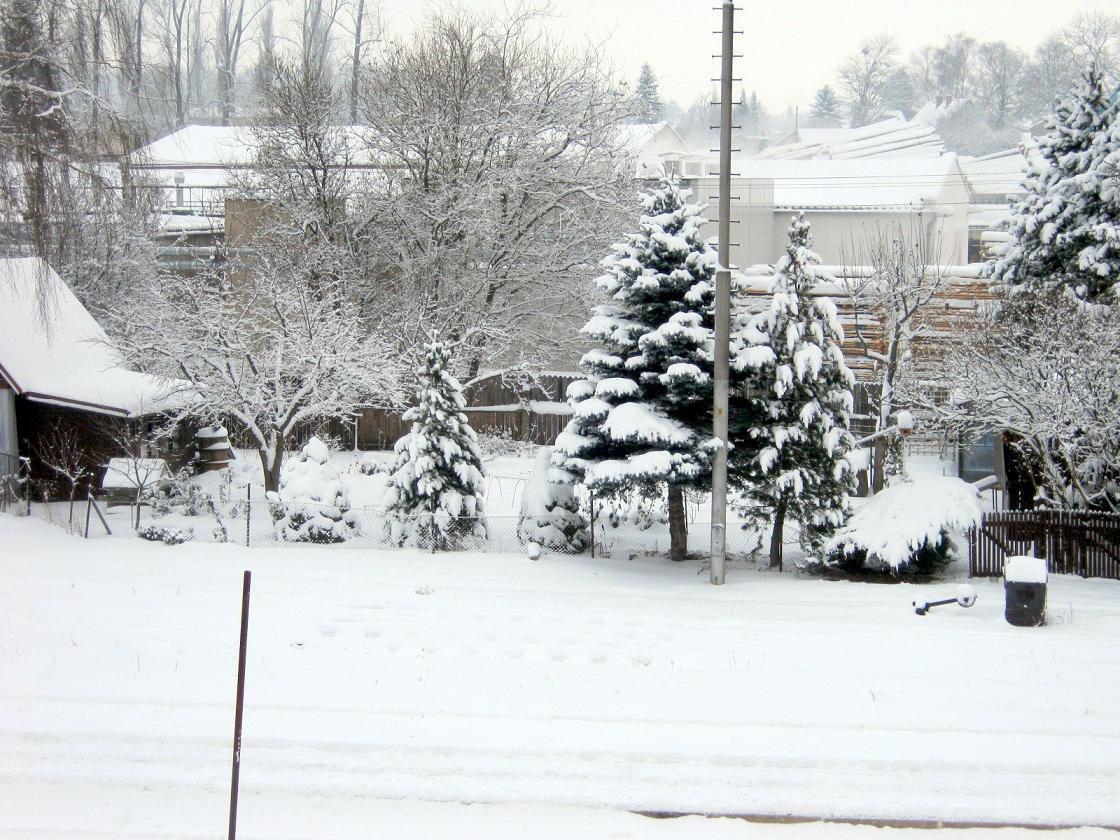 Polička